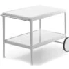 Richard Schultz 1966 Serving Cart -Form Living Shop 1966 serving cart richard schultz knoll 1