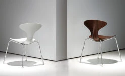 Orbit Wood Stacking Chair 9 Orbit Wood Stacking Chair -Form Living Shop orbit wood stacking chair ross lovegrove bernhardt design 3