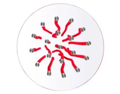 Org Table 12 Org Table -Form Living Shop org table fabio novembre cappellini c520ddf126