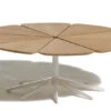 Schultz Petal Coffee Table -Form Living Shop schultz petal coffee table richard schultz knoll 1
