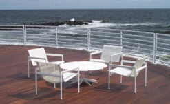 Schultz Petal Coffee Table -Form Living Shop schultz petal coffee table richard schultz knoll 2