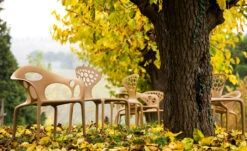 Supernatural Small Armchair 4 Pack -Form Living Shop supernatural small armchair 4pack ross lovegrove moroso 8